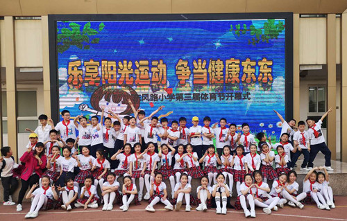 《河南省中小学校安全“十必须十不准》试行