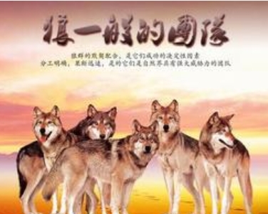 营销课程销售技巧和话术